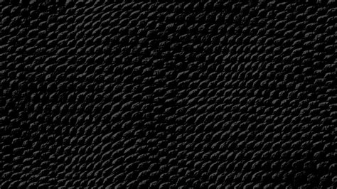 Black Snake Skin Wallpaper - WallpaperSafari