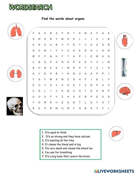 Wordsearch Related To Organs Worksheet Live Worksheets