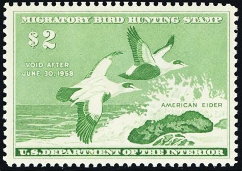 Rw Mint Vf Xf Nh Duck Stamp Stuart Katz United States Duck