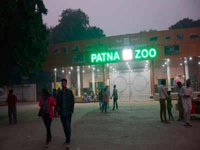 Patna zoo to welcome new inmates soon | Patna News - Times of India