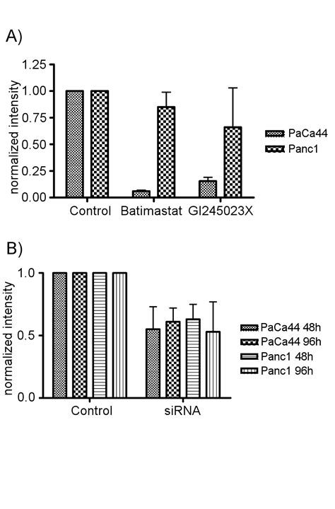 A Soluble Form Of The Giant Cadherin Fat1 Is Released From Pancreatic