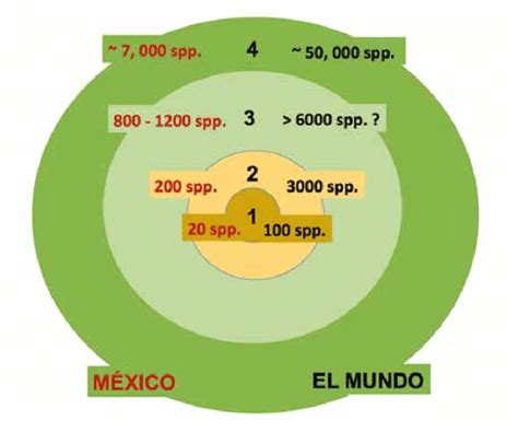 Niveles De Prioridad En El Manejo De Recursos Gen Ticos Vegetales