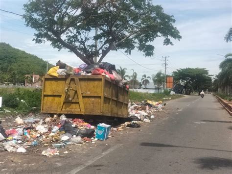 Tumpukan Sampah Tidak Diangkut Dlh Luwu Aroma Tak Sedap Dikeluhkan