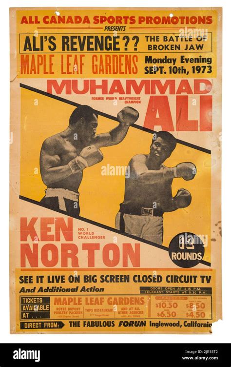 Muhammad Ali Poster