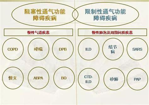 通俗讲解肺气肿的肺功能诊断：最基础的肺部结构到疾病发生原理