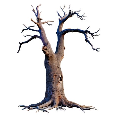 Download Dead Tree Isolated Png 50