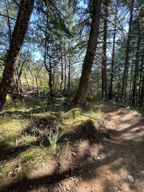 Wonderland Mountain Biking Trail Langford Bc