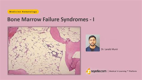 Bone Marrow Failure Syndromes - I