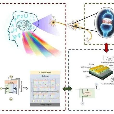 SCMs 浮栅型PN共混光电突触晶体管用于神经机器翻译 研究 解码器 器件