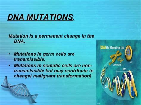 Dna Mutations