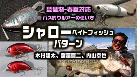 【バス釣りルアーの使い方】シャローベイトフィッシュパターン編【琵琶湖 春夏対応解説＝木村建太、諸富真二、内山幸也】 釣りの総合ニュース