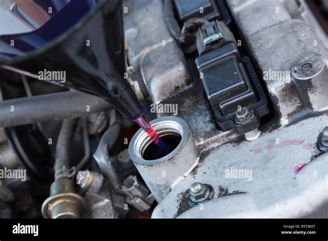 Pouring oil to a car engine Stock Photo - Alamy