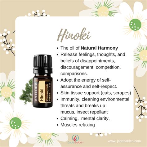 Hinoki | Jade Balden