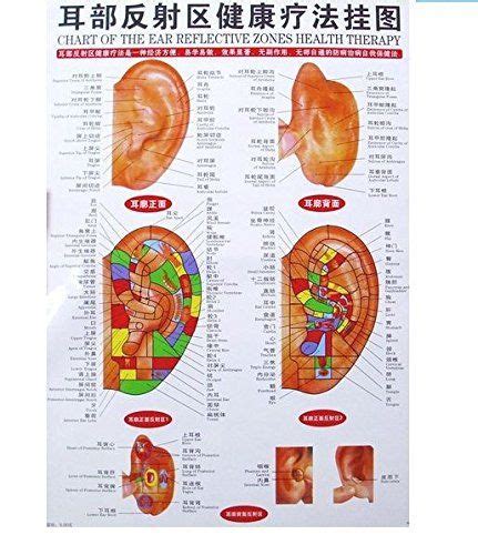 Multi Condition Ear Seeds Acupuncture Kit 600 Counts Ebook Placement Chart Probe Acupressure