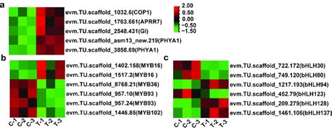 Heat Map Of Differentially Expressed Genes Degs Related To The