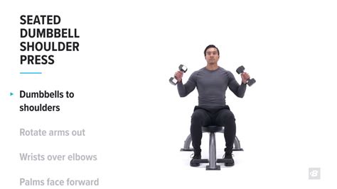 Seated Dumbbell Shoulder Press Exercise Video Guide Muscle Fitness Atelier Yuwaciaojp