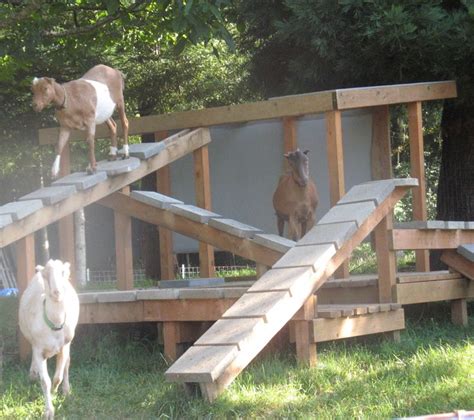 Best 25+ Goat playground ideas on Pinterest | Goat pen, Goat house and ...