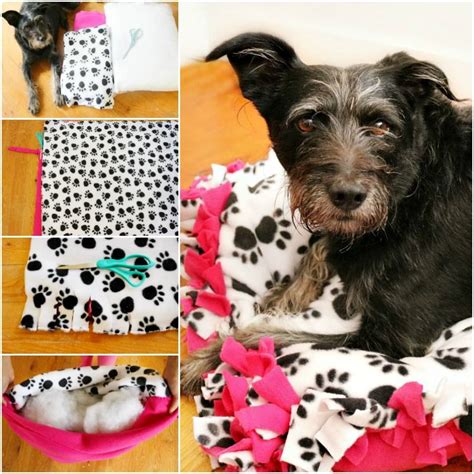 DIY No Sew Dog Bed Tutorial Featuring #NewBeneful Dyi Dog Bed, Pet Diy ...