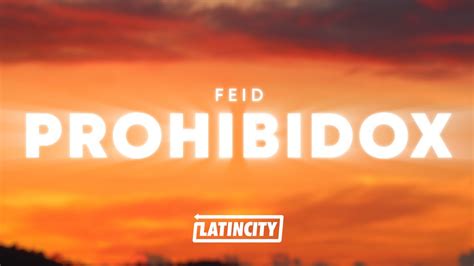 Feid Prohibidox Letra Lyrics YouTube