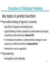 Protein Function 1 - Function of Globular Proteins Key topics in protein function: Reversible ...