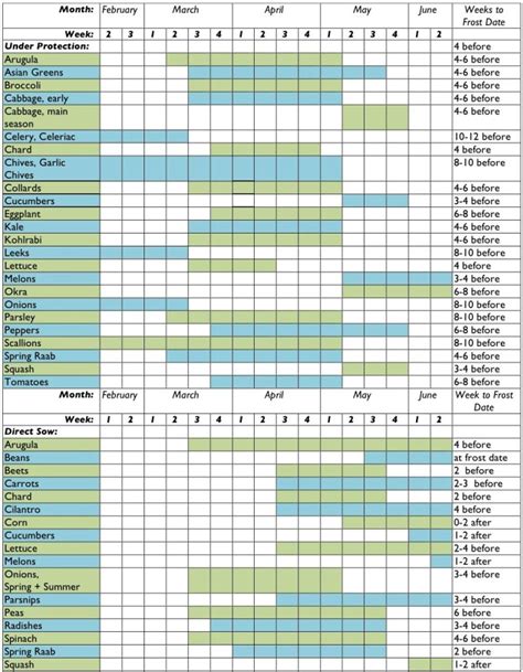 Garden Planting Schedule Zone 6 Fasci Garden