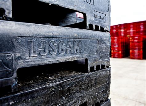 Plastic Pallets Australia 1165 X 1165mm Loscam