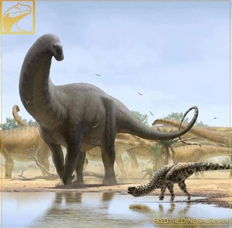 Apatosaurus And Marshosaurus By Fred Wierum Rmesozoicfauna