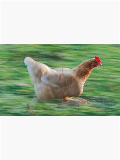 "Running Chicken Meme Funny" Poster for Sale by Listrenect | Redbubble