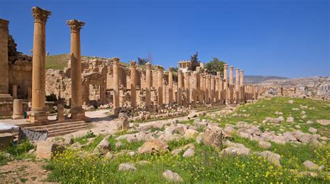 Jerash Archaeological Museum Tours - Book Now | Expedia