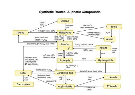 Diagram Of Synthetic Routes Quizlet