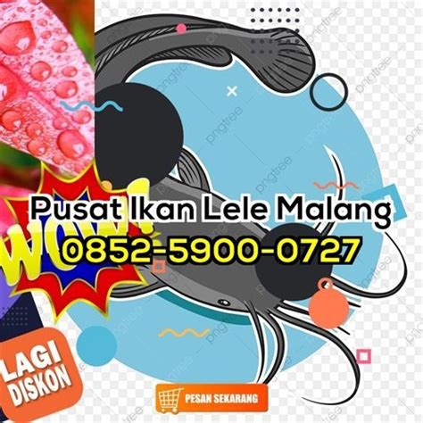 Lezat Wa Sedia Jual Lele Bumbu Kuning Siap Goreng Di Malang