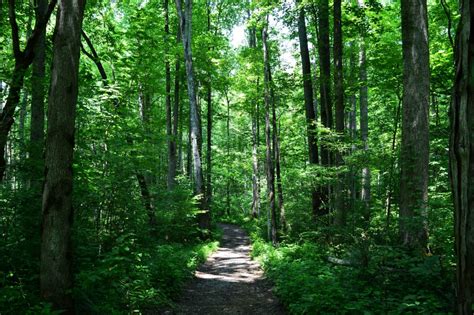 Adaptive Hiking Program Comes to Westchester Parks - The Boost