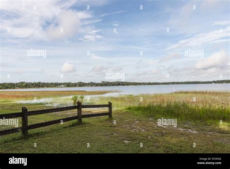 From The Shores Of Lake Weir In Marion County Florida Stock Photo Alamy