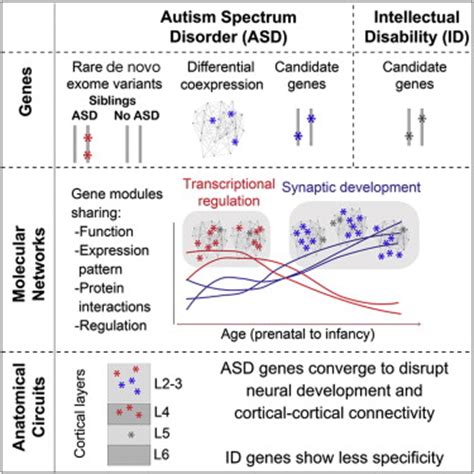 Integrative Functional Genomic Analyses Implicate Specific Molecular