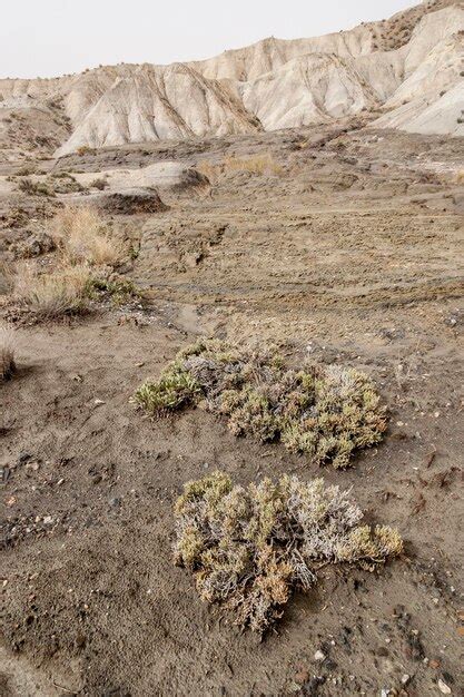 Premium Photo Scenic View Of Land On Arid Landscape