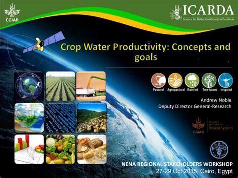 Crop water productivity: briefing on concepts, definitions and goals ... 