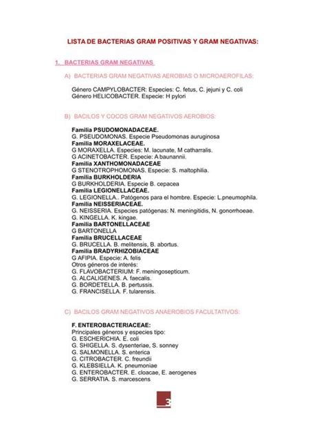 Lista De Bacterias Gram Positivas Y Gram Negativas Davi Ivan Udocz