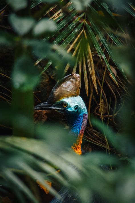 Best U Guido Images On Pholder Earth Porn Nature Is Fucking Lit And Photocritique