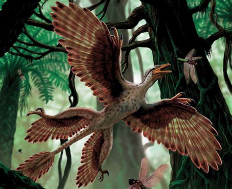 Microraptor | Dinosaur Island Wikia | Fandom