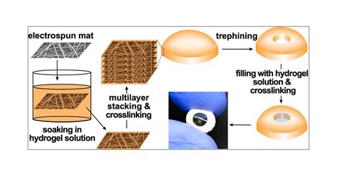 Electrospun Reinforced Suturable Biodegradable Artificial Cornea ACS