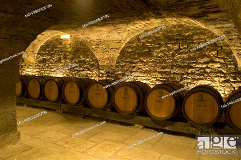 The Most Important Cellars Of Burgundy The Patriarche Cellars Stock