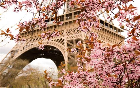 Blooming Paris: Where to See Spring Flowers in Paris - Paris Perfect