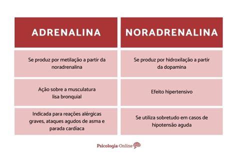 Diferen As Entre Adrenalina E Noradrenalina