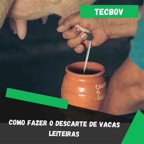 Planilha de Controle de Gado Grátis - Tecbov