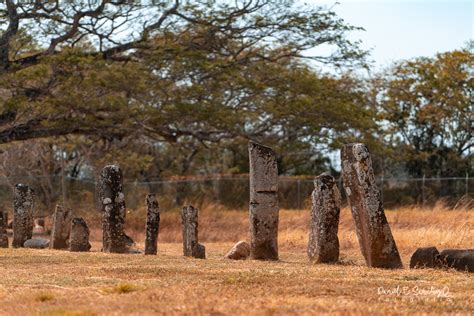 Parque Arqueológico El Caño la necrópolis de los Coclé lacabanga