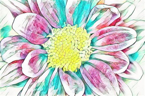 Abstract Daisy Digital Art By Elisabeth Lucas Fine Art America