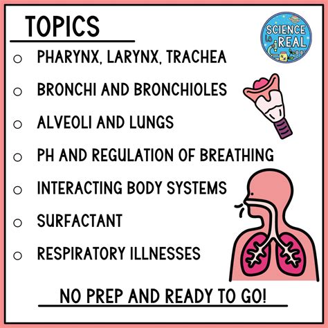 Respiratory System Amoeba Sisters Video Handout Science Is Real Education