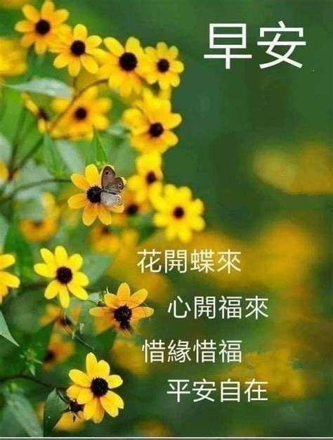 Pin by xiong on flowr 出 Good morning Good morning wishes Morning wish