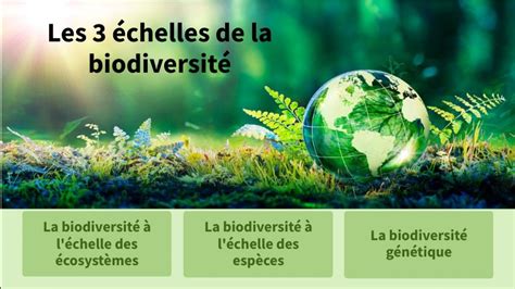 Les 3 échelles de la biodiversité