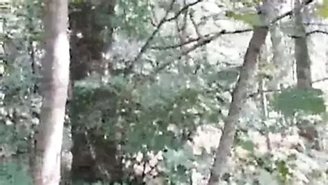 Oldermen And Grandpa Cruising Gay Amateur Amateur Porn Xhamster